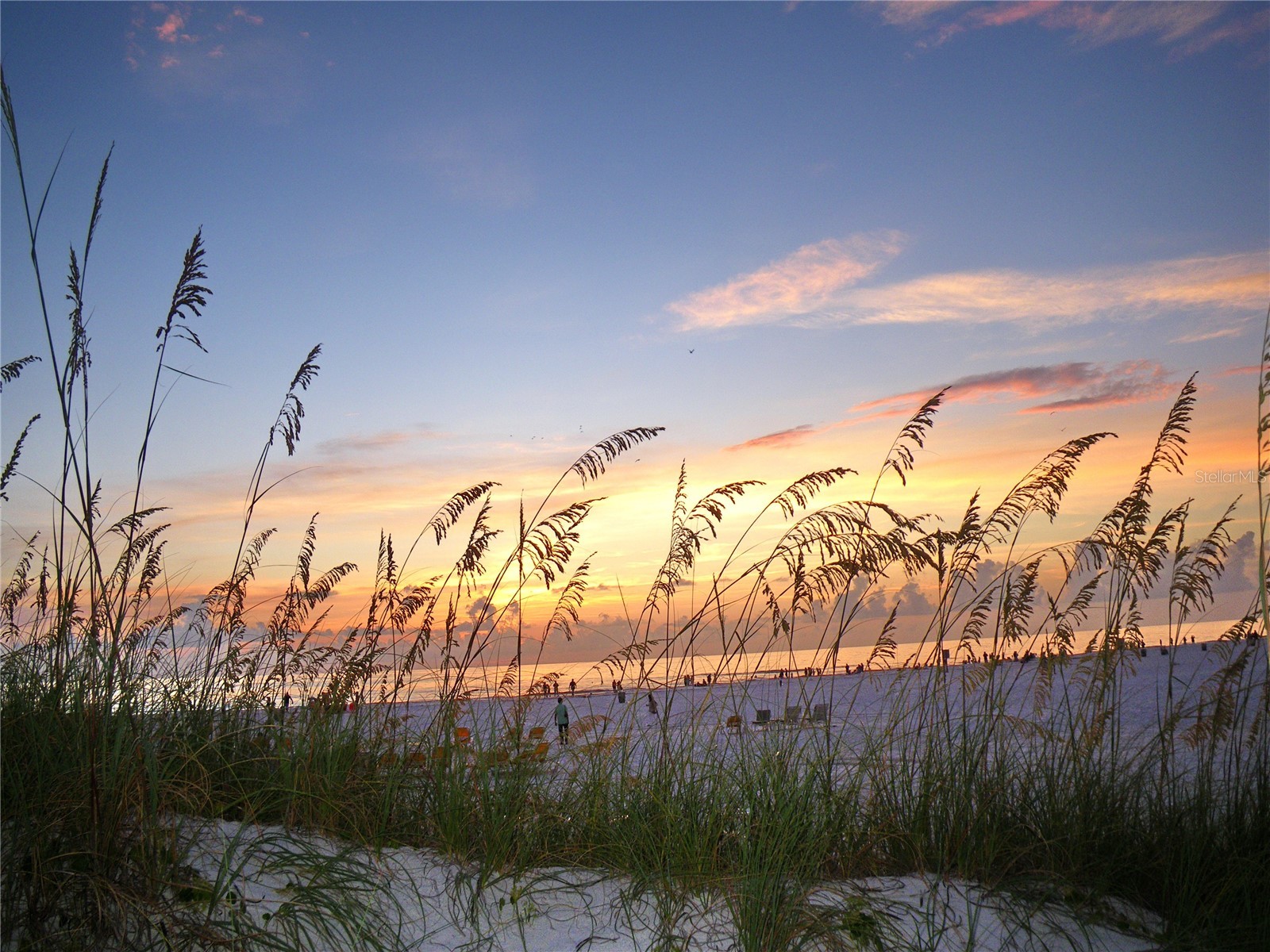 1430 Gulf Boulevard #806 Clearwater FL 33767 - GULF OF MEXICO SAND KEY BEACH TB8524473 image53