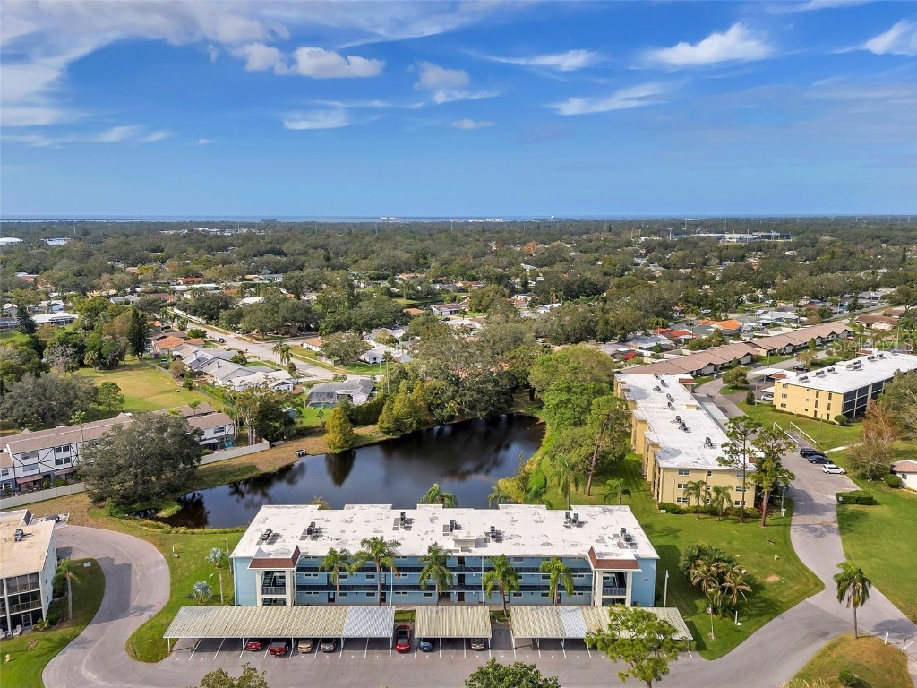 1430 Heather Ridge Blvd #304 Dunedin FL 34698 TB8443064 image28