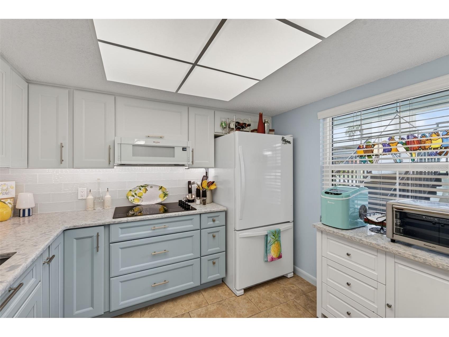 1430 Heather Ridge Boulevard #101 Dunedin FL 34698 TB8465380 image19