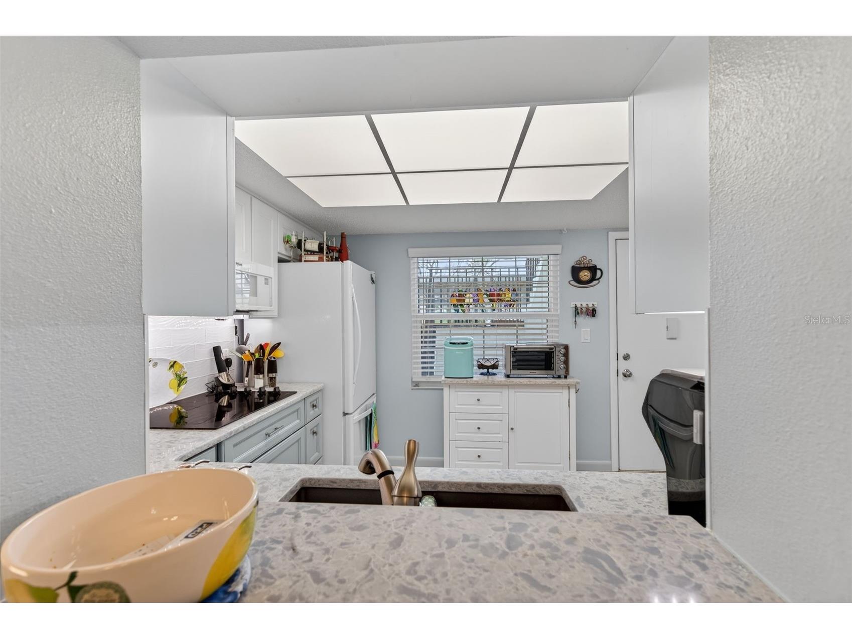 1430 Heather Ridge Boulevard #101 Dunedin FL 34698 TB8465380 image20