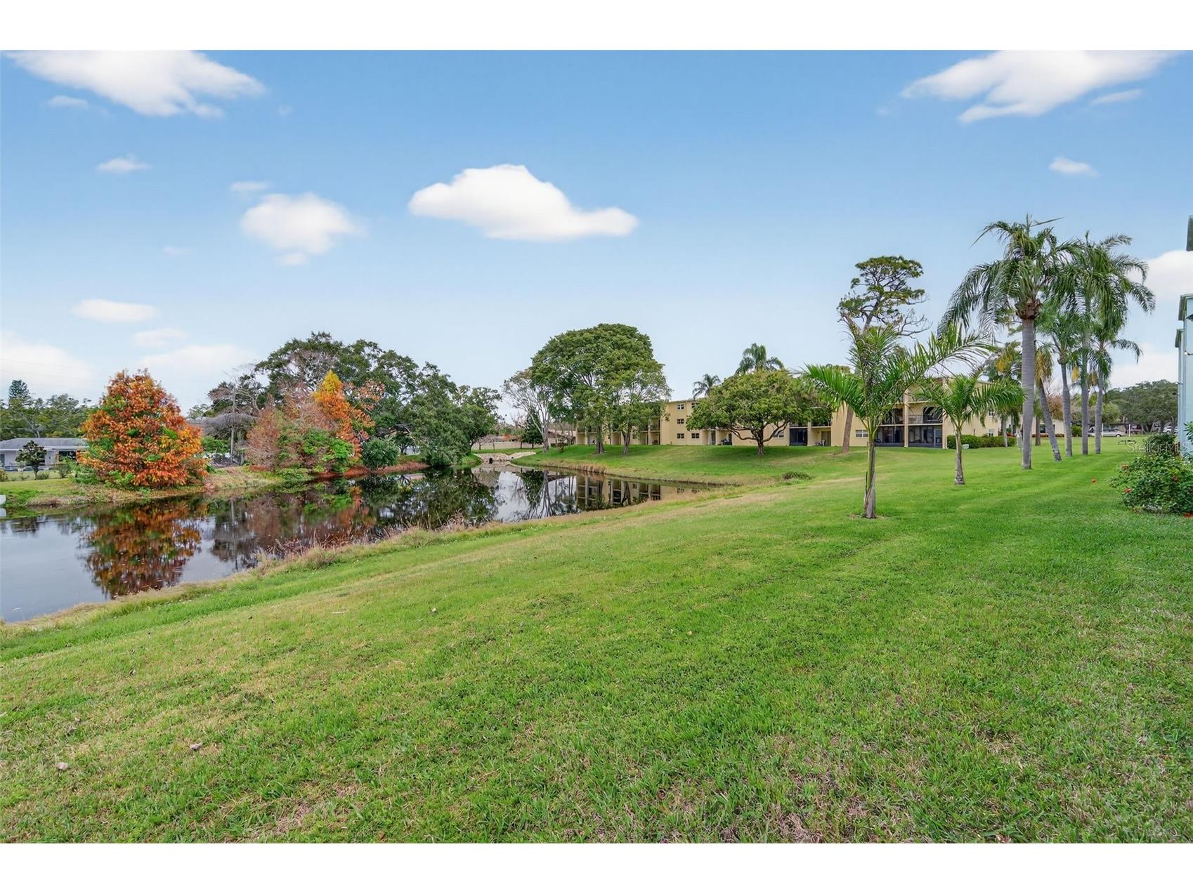 1430 Heather Ridge Boulevard #101 Dunedin FL 34698 TB8465380 image35