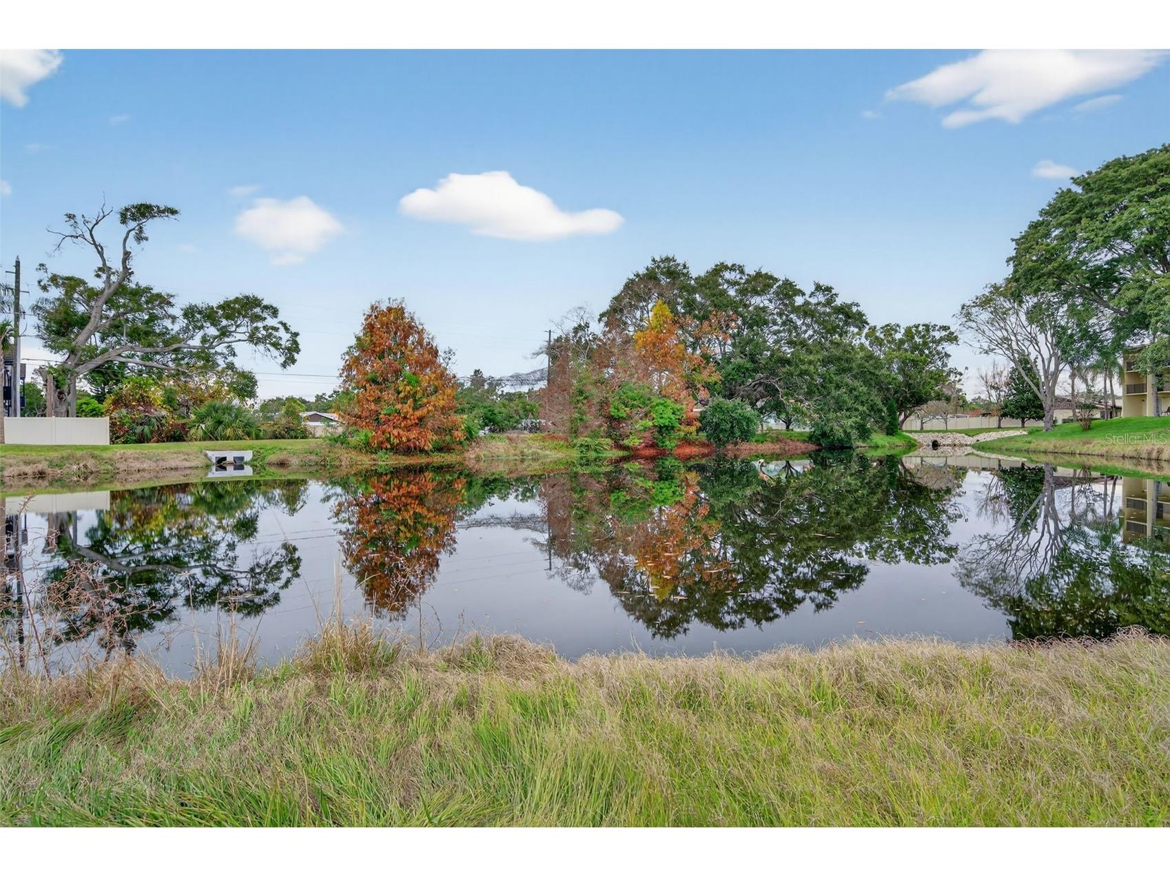 1430 Heather Ridge Boulevard #101 Dunedin FL 34698 TB8465380 image36