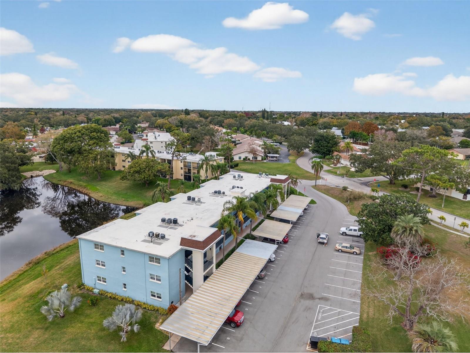 1430 Heather Ridge Boulevard #101 Dunedin FL 34698 TB8465380 image37