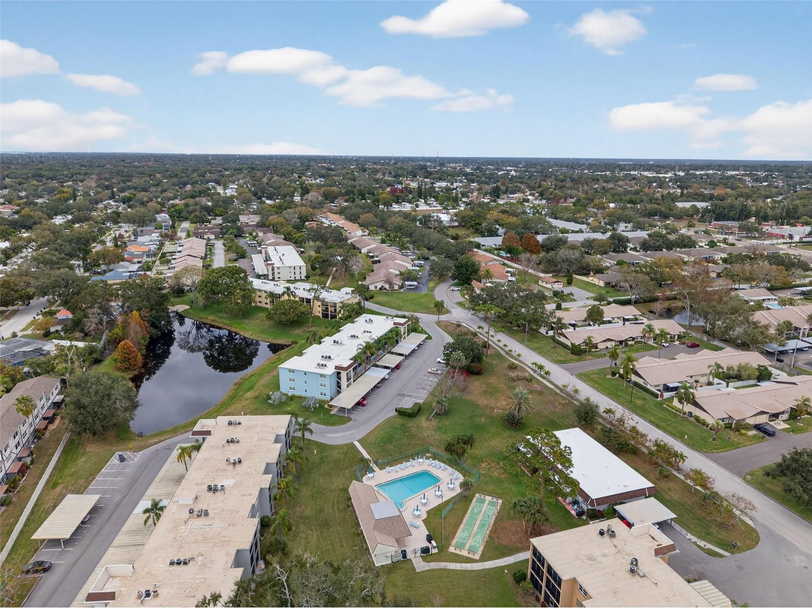 1430 Heather Ridge Boulevard #101 Dunedin FL 34698 TB8465380 image40