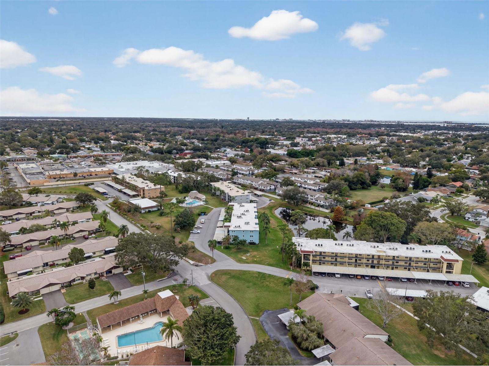 1430 Heather Ridge Boulevard #101 Dunedin FL 34698 TB8465380 image41