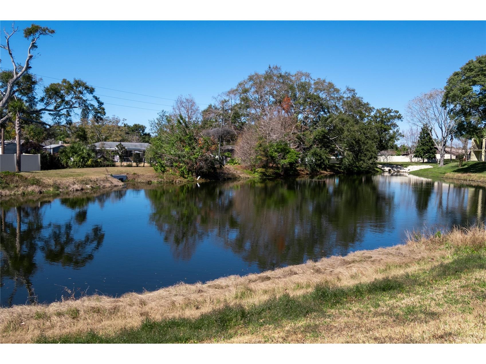 1430 Heather Ridge Boulevard #202 Dunedin FL 34698 C7521862 image19