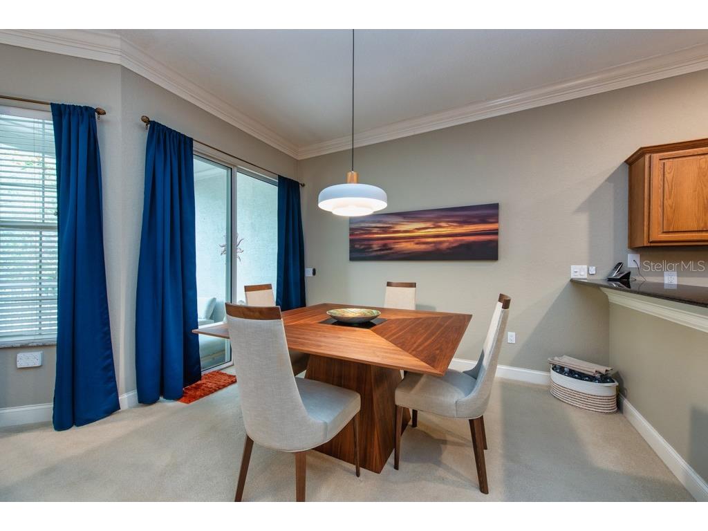 1430 Manatee Circle Tarpon Springs FL 34689 TB8477774 image15