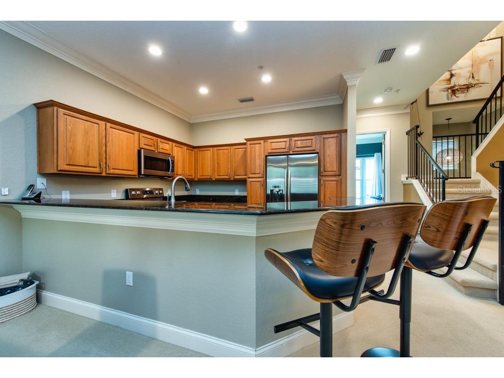 1430 Manatee Circle Tarpon Springs FL 34689 TB8477774 image17