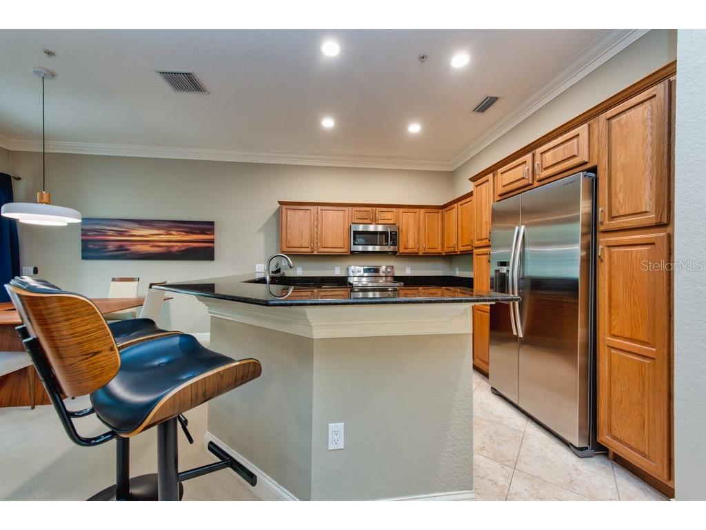 1430 Manatee Circle Tarpon Springs FL 34689 TB8477774 image18