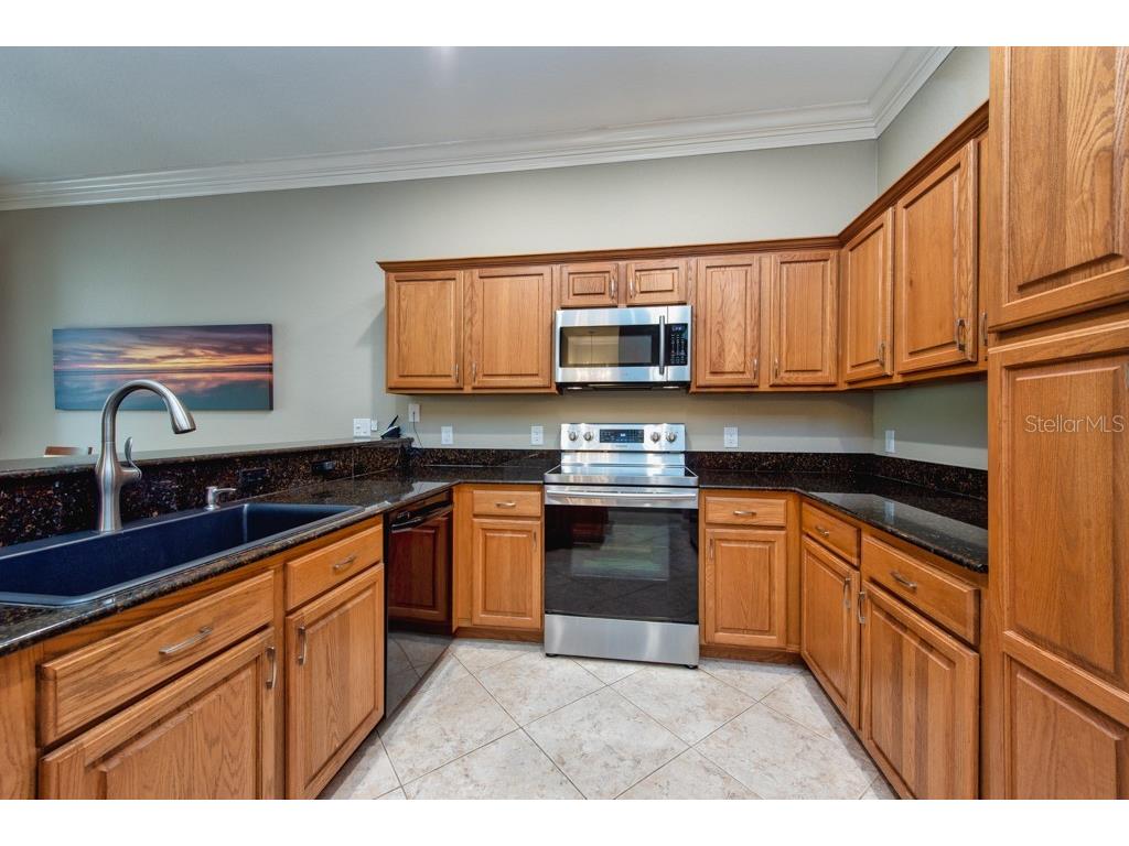 1430 Manatee Circle Tarpon Springs FL 34689 TB8477774 image20