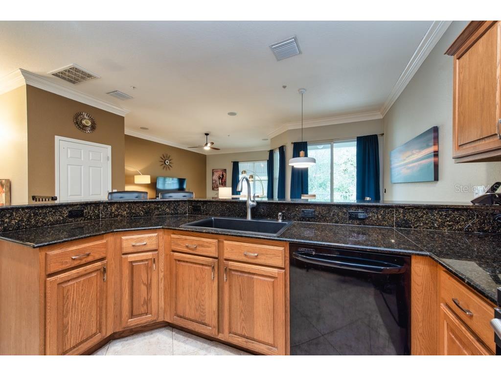 1430 Manatee Circle Tarpon Springs FL 34689 TB8477774 image21