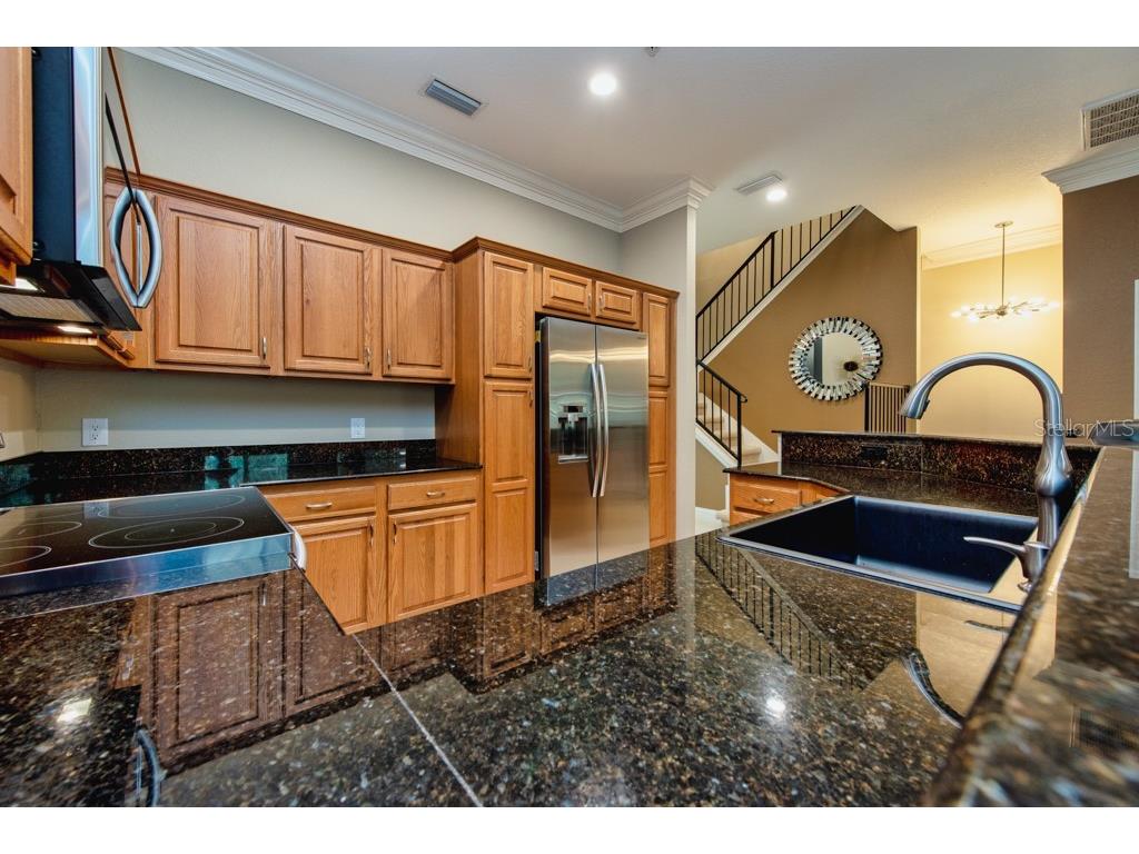 1430 Manatee Circle Tarpon Springs FL 34689 TB8477774 image22