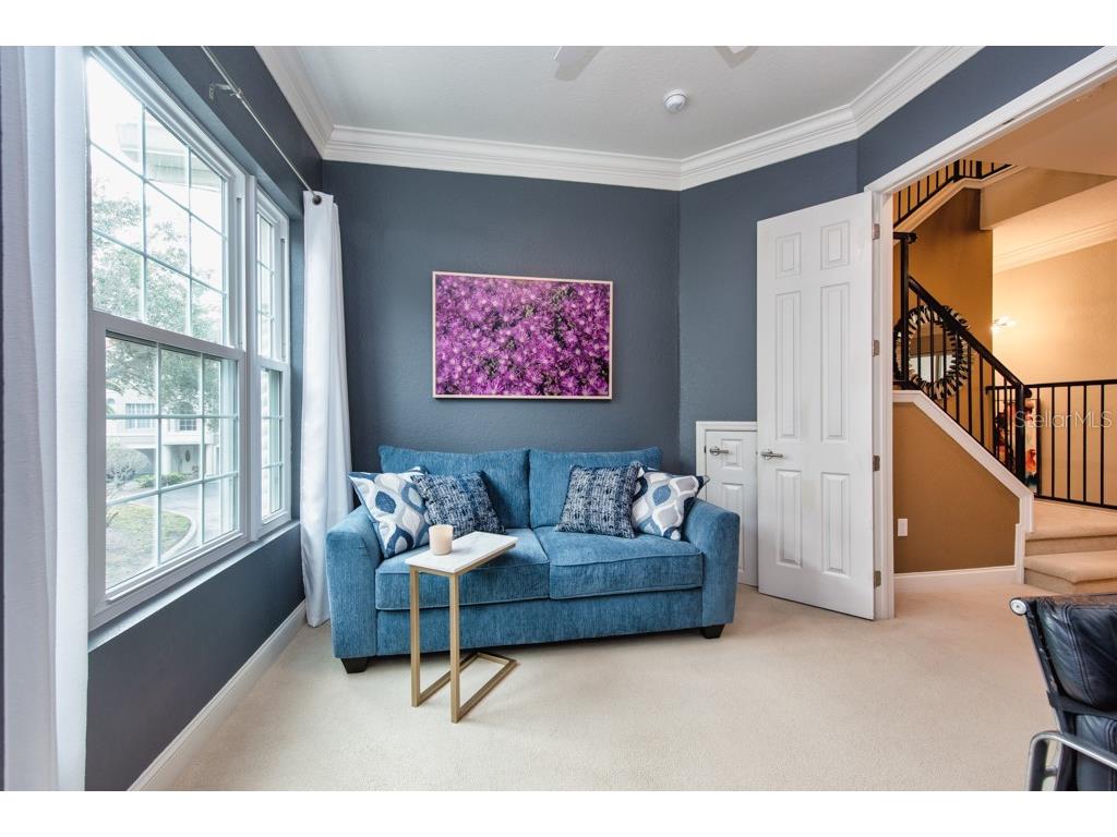 1430 Manatee Circle Tarpon Springs FL 34689 TB8477774 image25