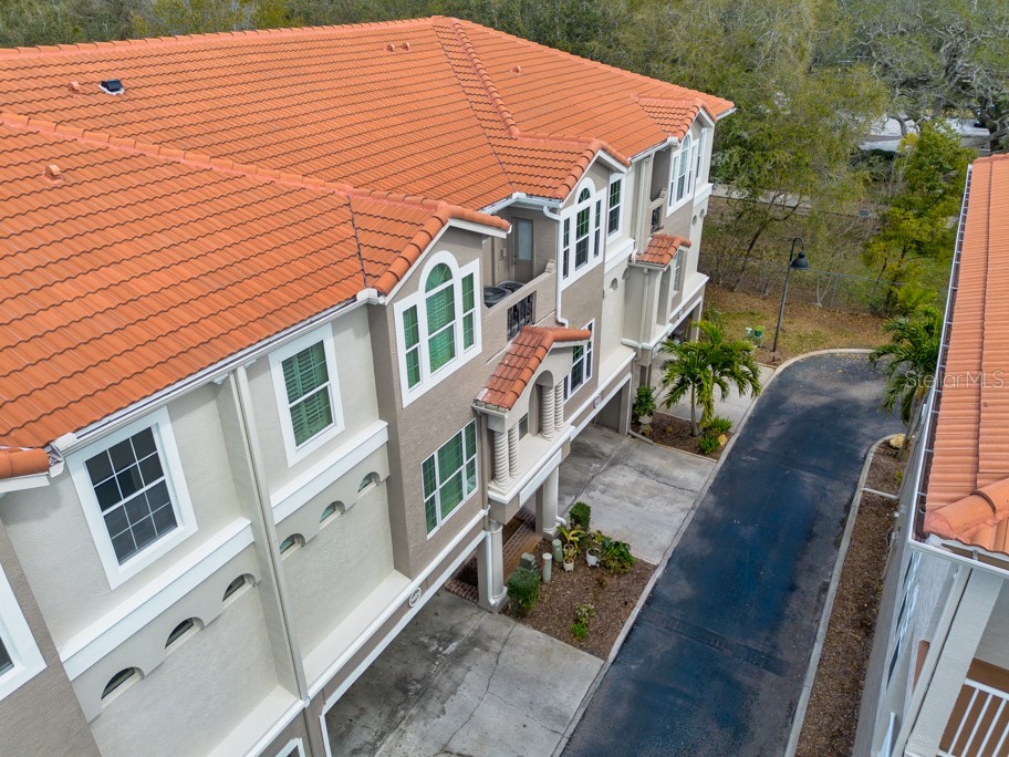 1430 Manatee Circle Tarpon Springs FL 34689 TB8477774 image52