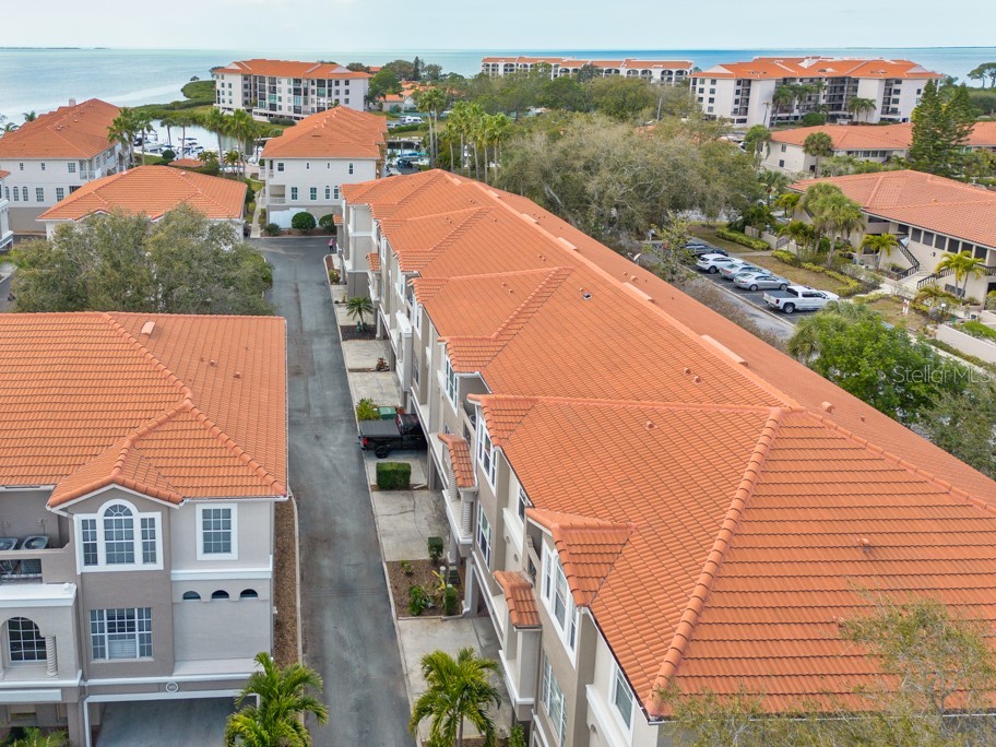 1430 Manatee Circle Tarpon Springs FL 34689 TB8477774 image54