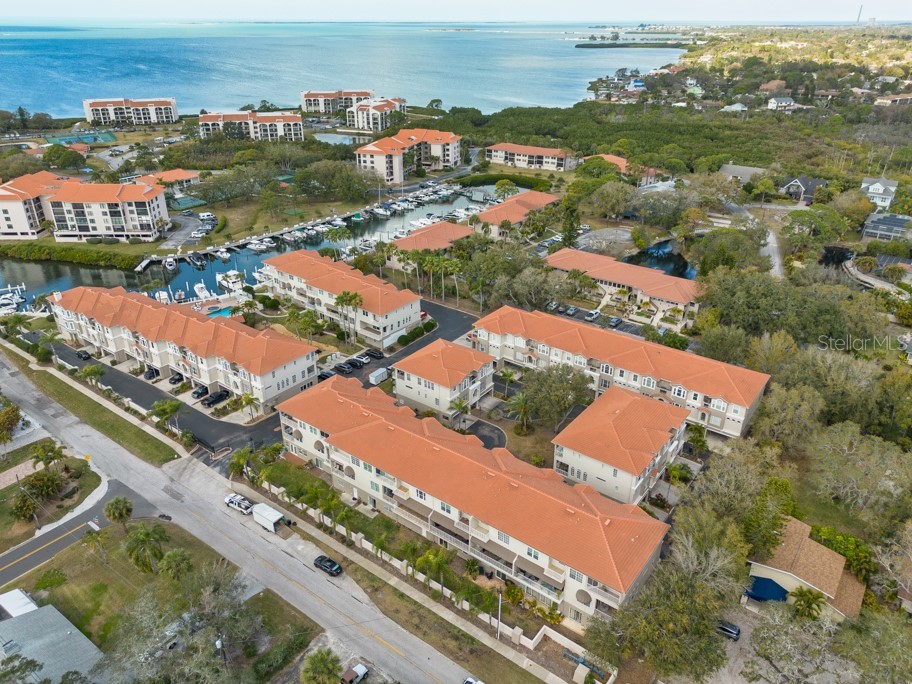 1430 Manatee Circle Tarpon Springs FL 34689 TB8477774 image56