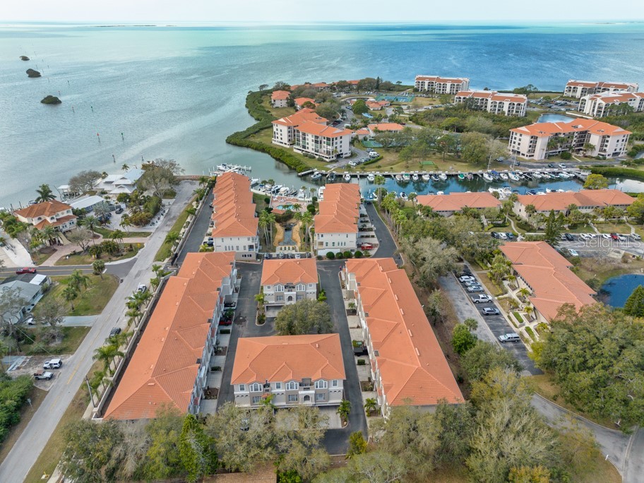 1430 Manatee Circle Tarpon Springs FL 34689 TB8477774 image58