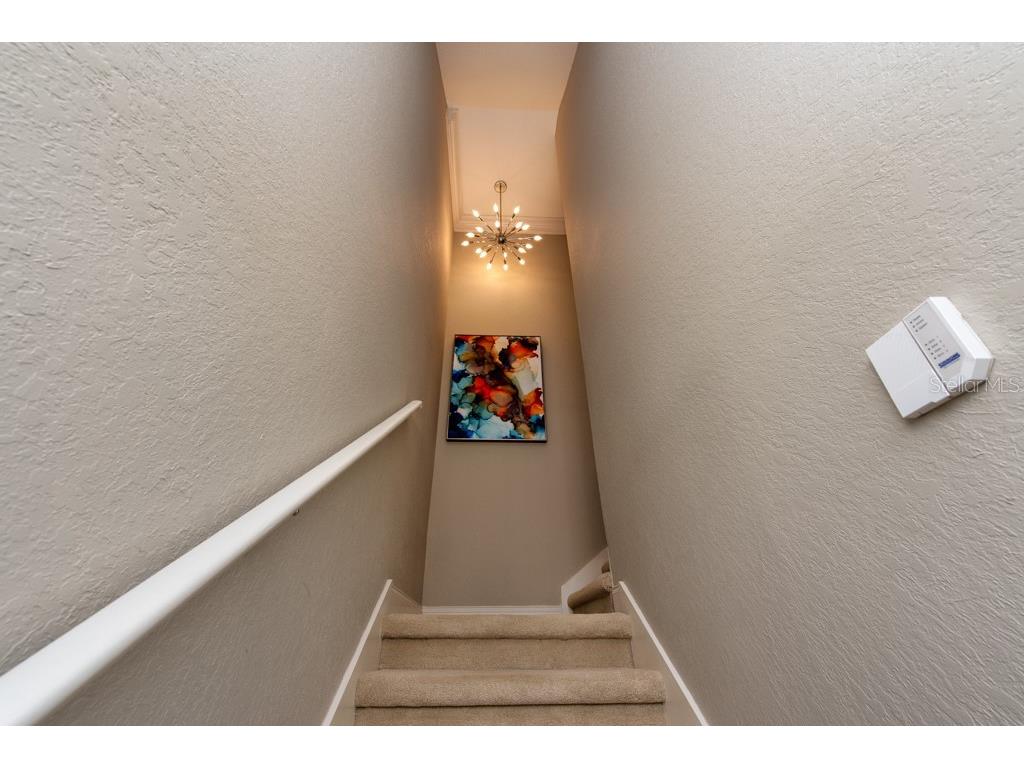 1430 Manatee Circle Tarpon Springs FL 34689 TB8477774 image6