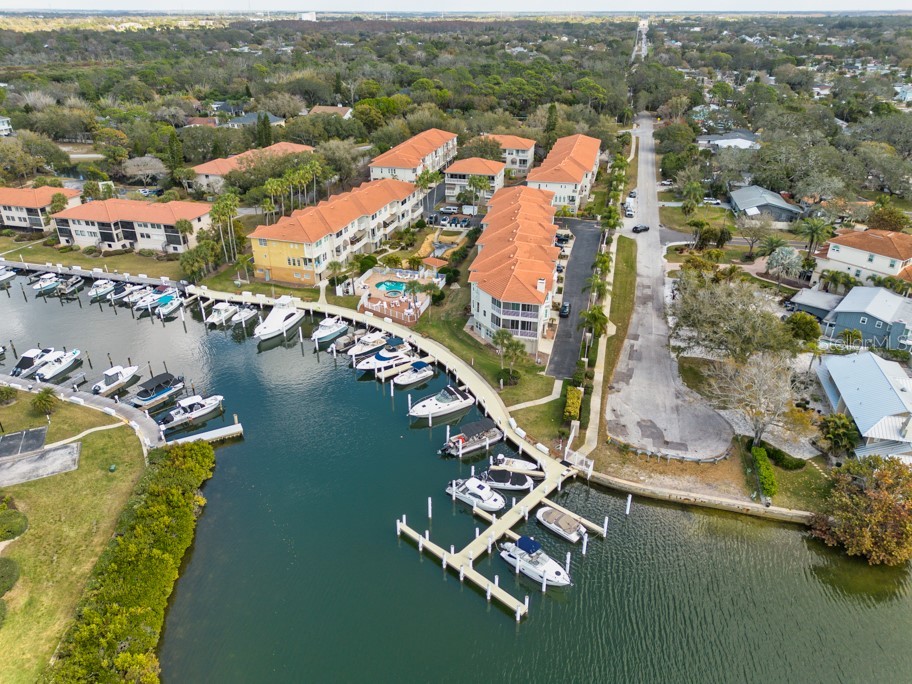 1430 Manatee Circle Tarpon Springs FL 34689 TB8477774 image63