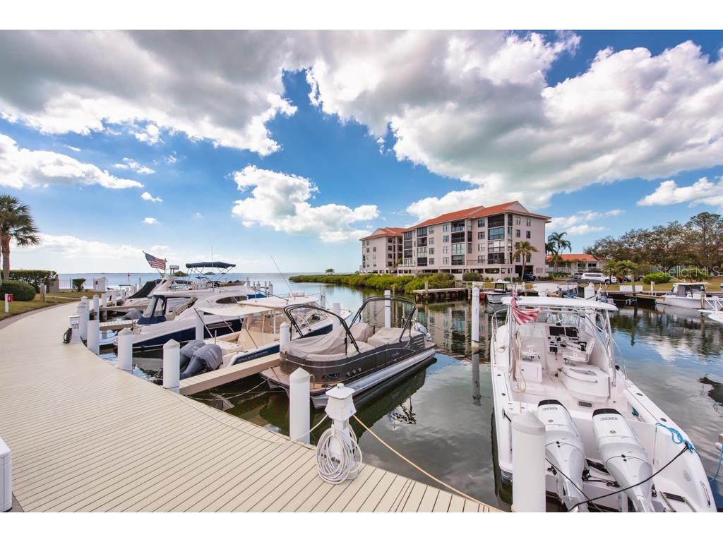 1430 Manatee Circle Tarpon Springs FL 34689 TB8477774 image67