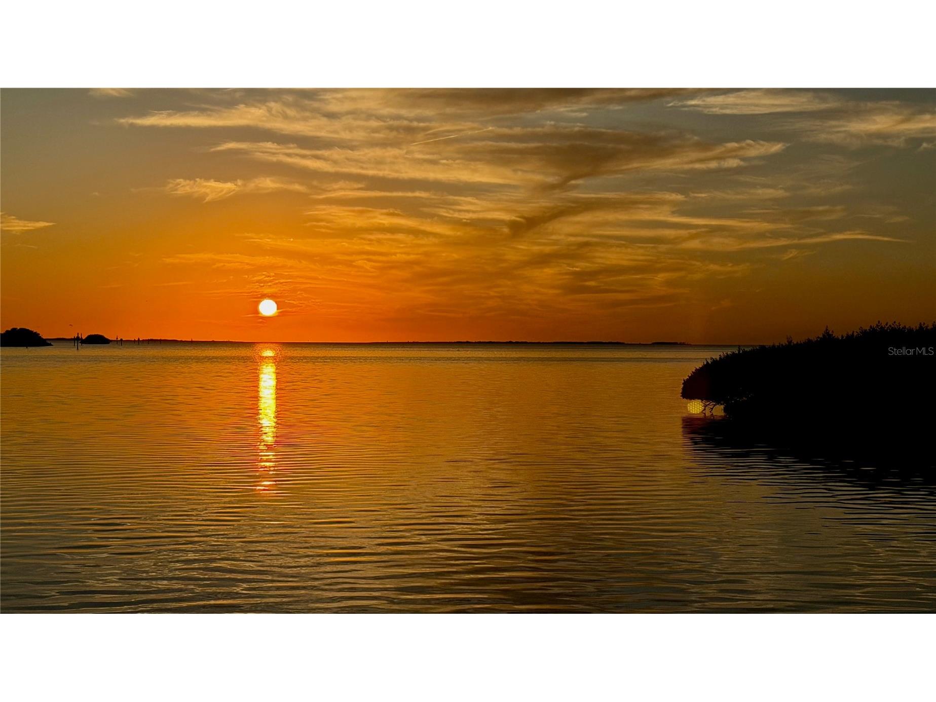 1430 Manatee Circle Tarpon Springs FL 34689 TB8477774 image71