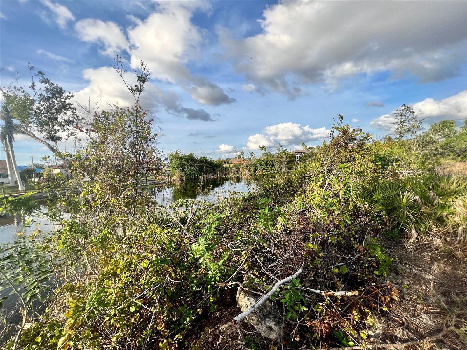1430 NW 24th Place Cape Coral FL 33993 C7520819 image2