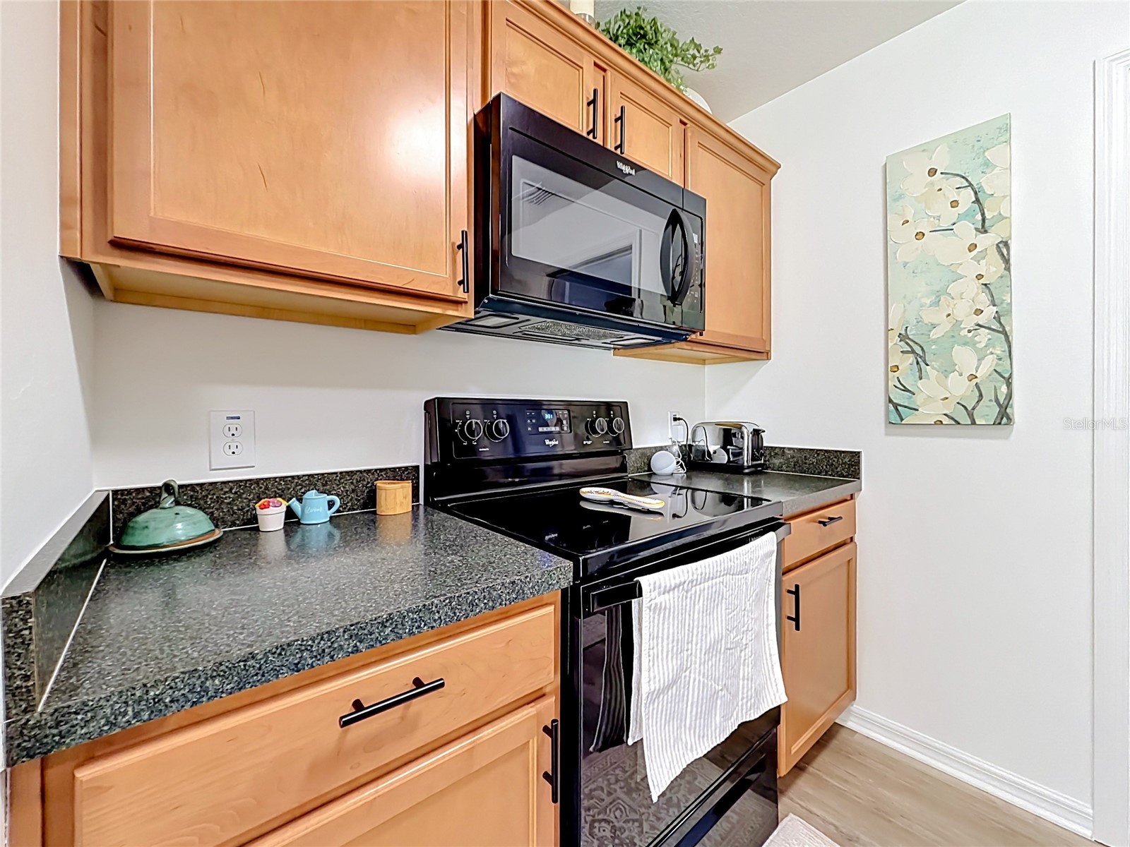 1430 Olympia Street The Villages FL 32163 G5112863 image9