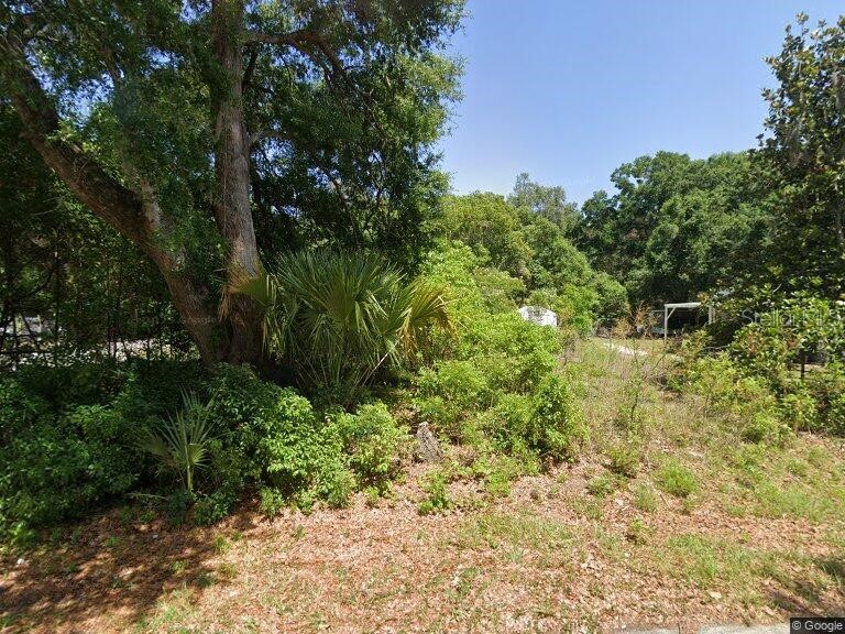 14301 SE 94th Avenue Summerfield FL 34491 OM724150 image1