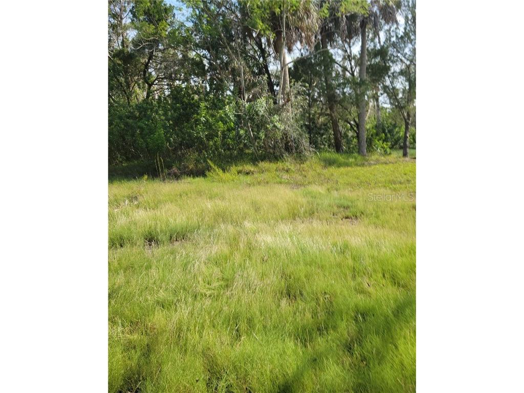 14301 W Seashell Court Crystal River FL 34429 - PEARSON'S BLACK CREEK O6149377 image3