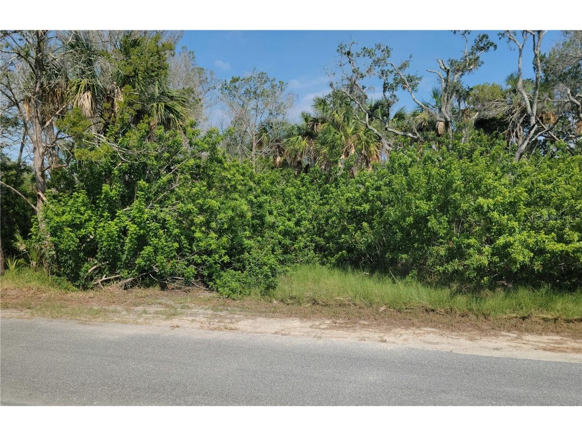 14301 W Seashell Court Crystal River FL 34429 - PEARSON'S BLACK CREEK O6149377 image4