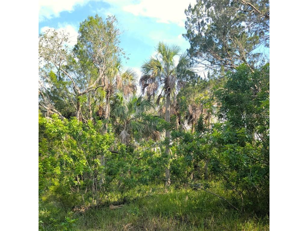 14301 W Seashell Court Crystal River FL 34429 - PEARSON'S BLACK CREEK O6149377 image5