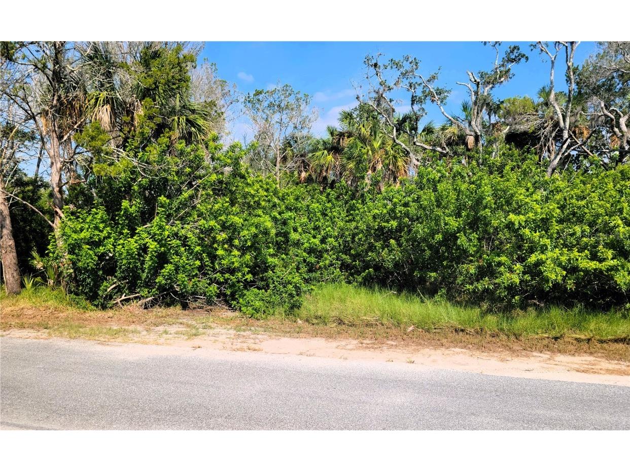 14301 W Seashell Court Crystal River FL 34429 - PEARSON'S BLACK CREEK O6149377 image6