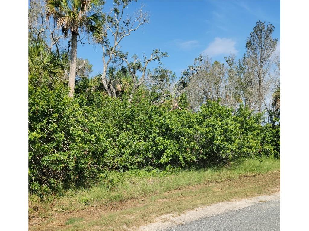 14301 W Seashell Court Crystal River FL 34429 - PEARSON'S BLACK CREEK O6149377 image8