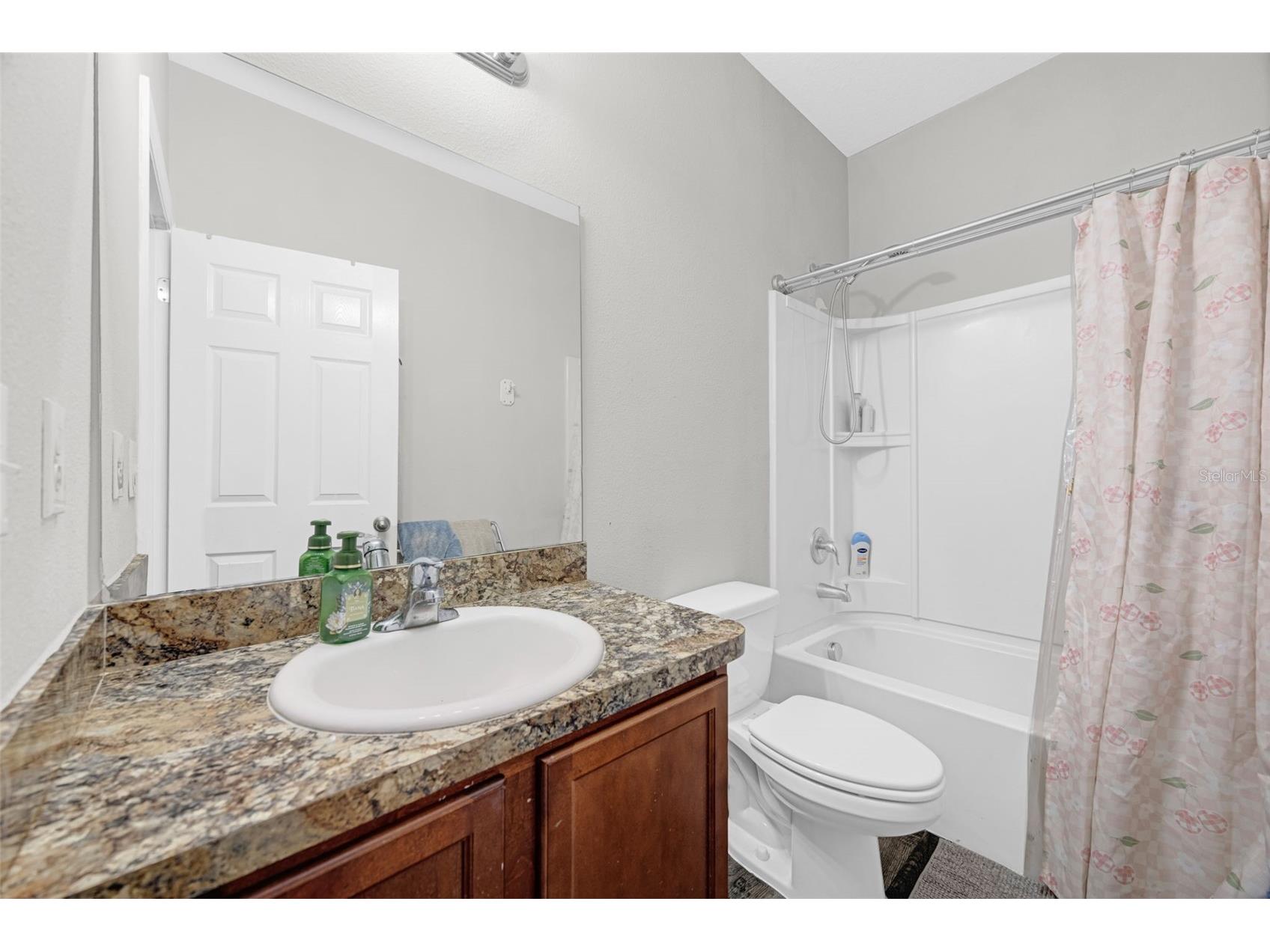 14303 Alistar Manor Drive Wimauma FL 33598 TB8480009 image22