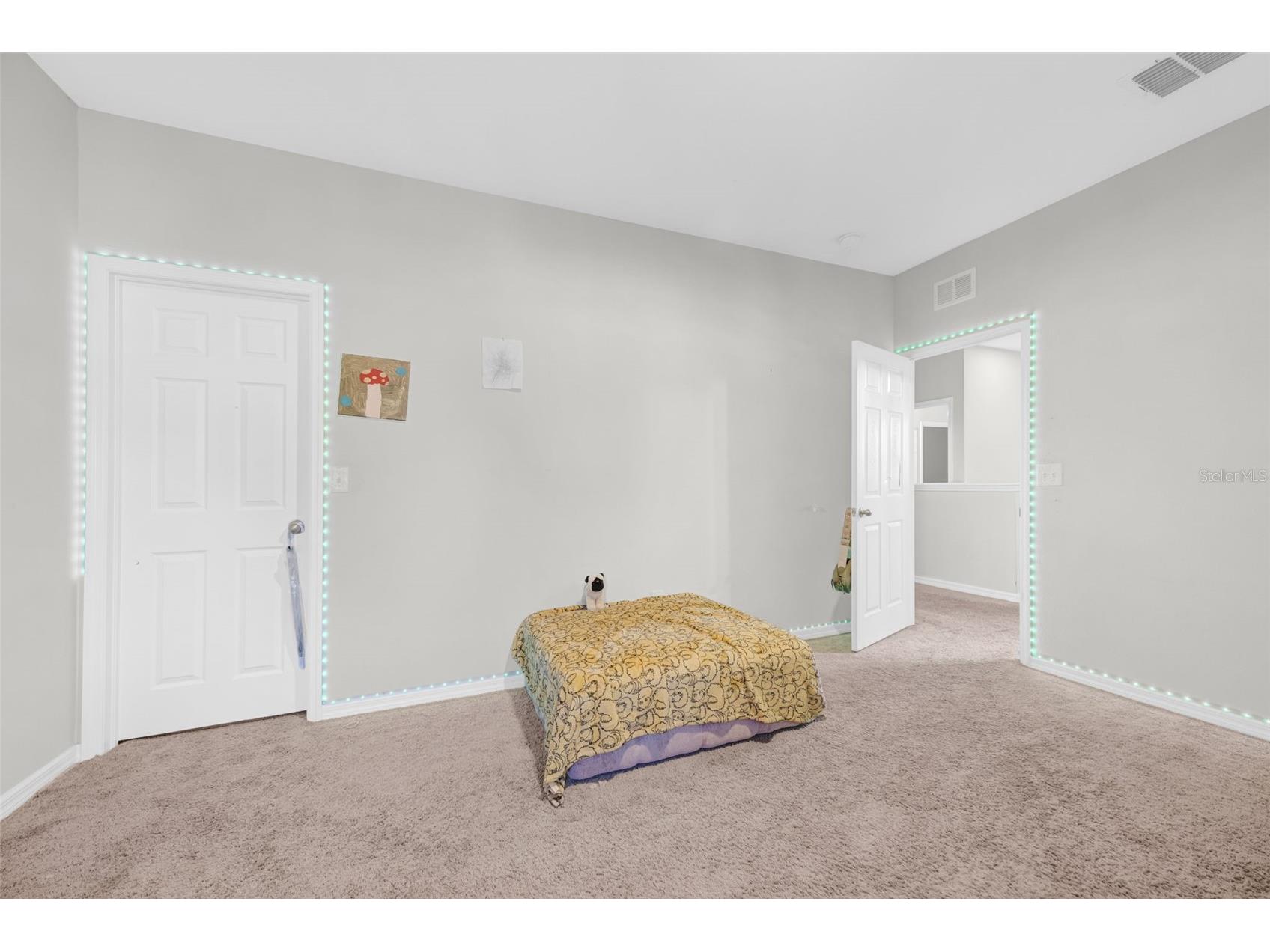 14303 Alistar Manor Drive Wimauma FL 33598 TB8480009 image23