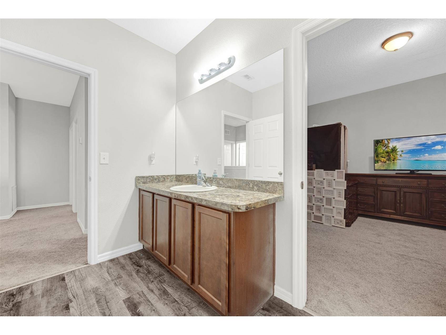 14303 Alistar Manor Drive Wimauma FL 33598 TB8480009 image27