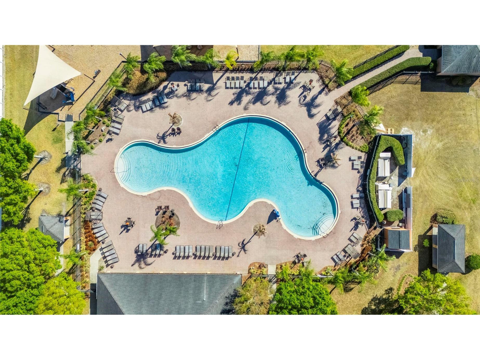 14303 Alistar Manor Drive Wimauma FL 33598 TB8480009 image31