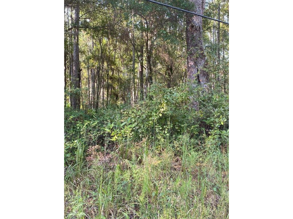 14303 NE 160th Avenue Waldo FL 32694 GC526187 image1