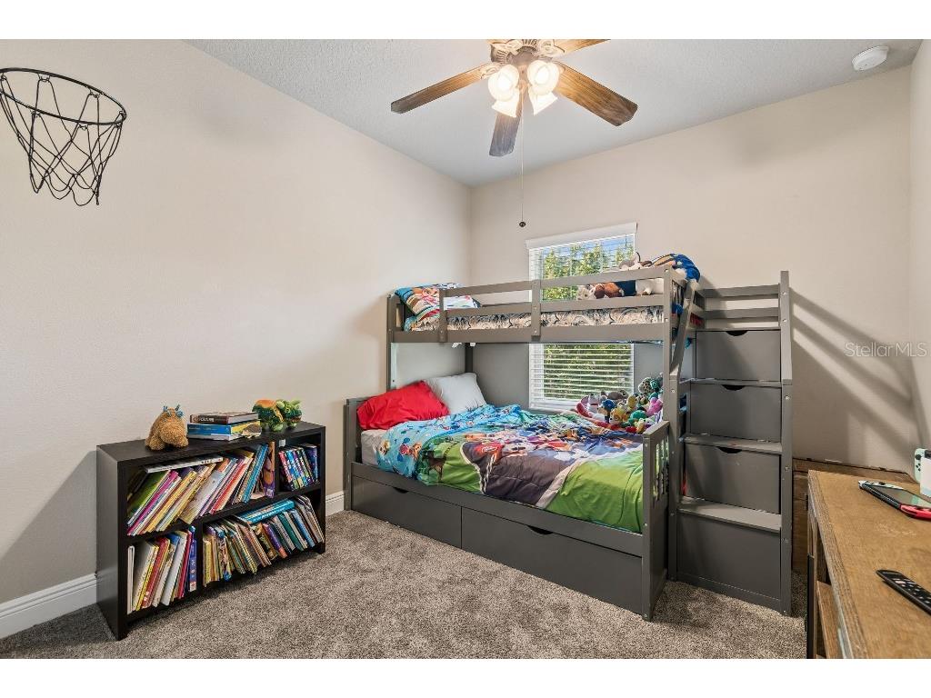 14304 Parkside Ridge Way Lithia FL 33547 TB8497526 image21