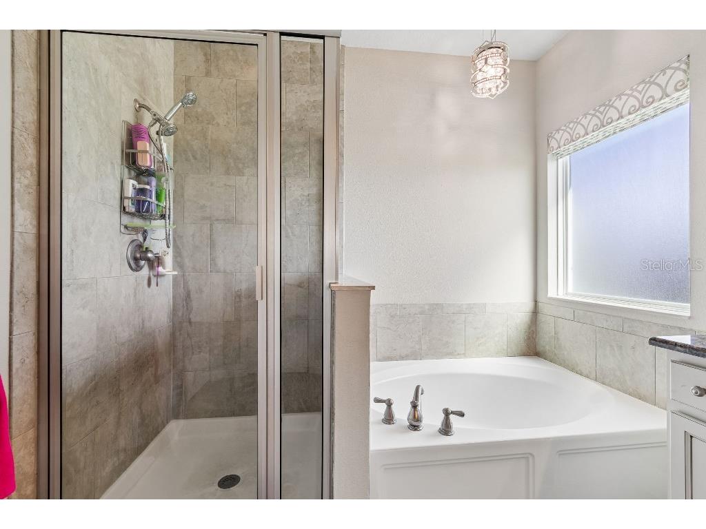 14304 Parkside Ridge Way Lithia FL 33547 TB8497526 image29