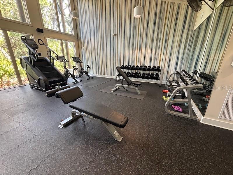 14304 Parkside Ridge Way Lithia FL 33547 TB8497526 image41