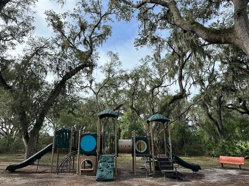 14304 Parkside Ridge Way Lithia FL 33547 TB8497526 image44