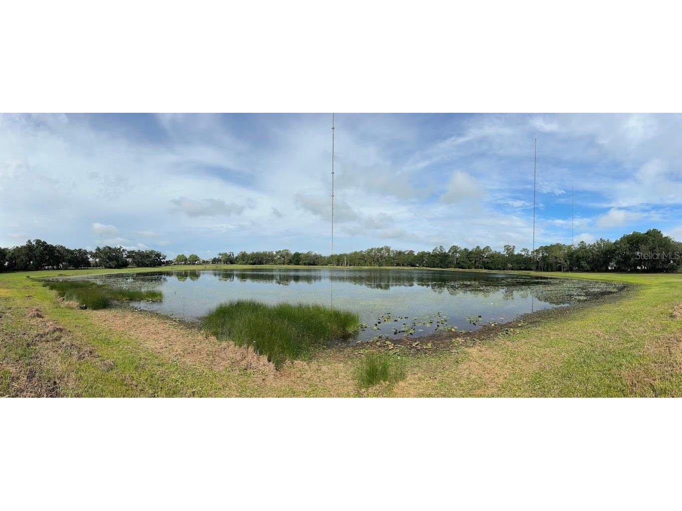 14304 Parkside Ridge Way Lithia FL 33547 TB8497526 image46