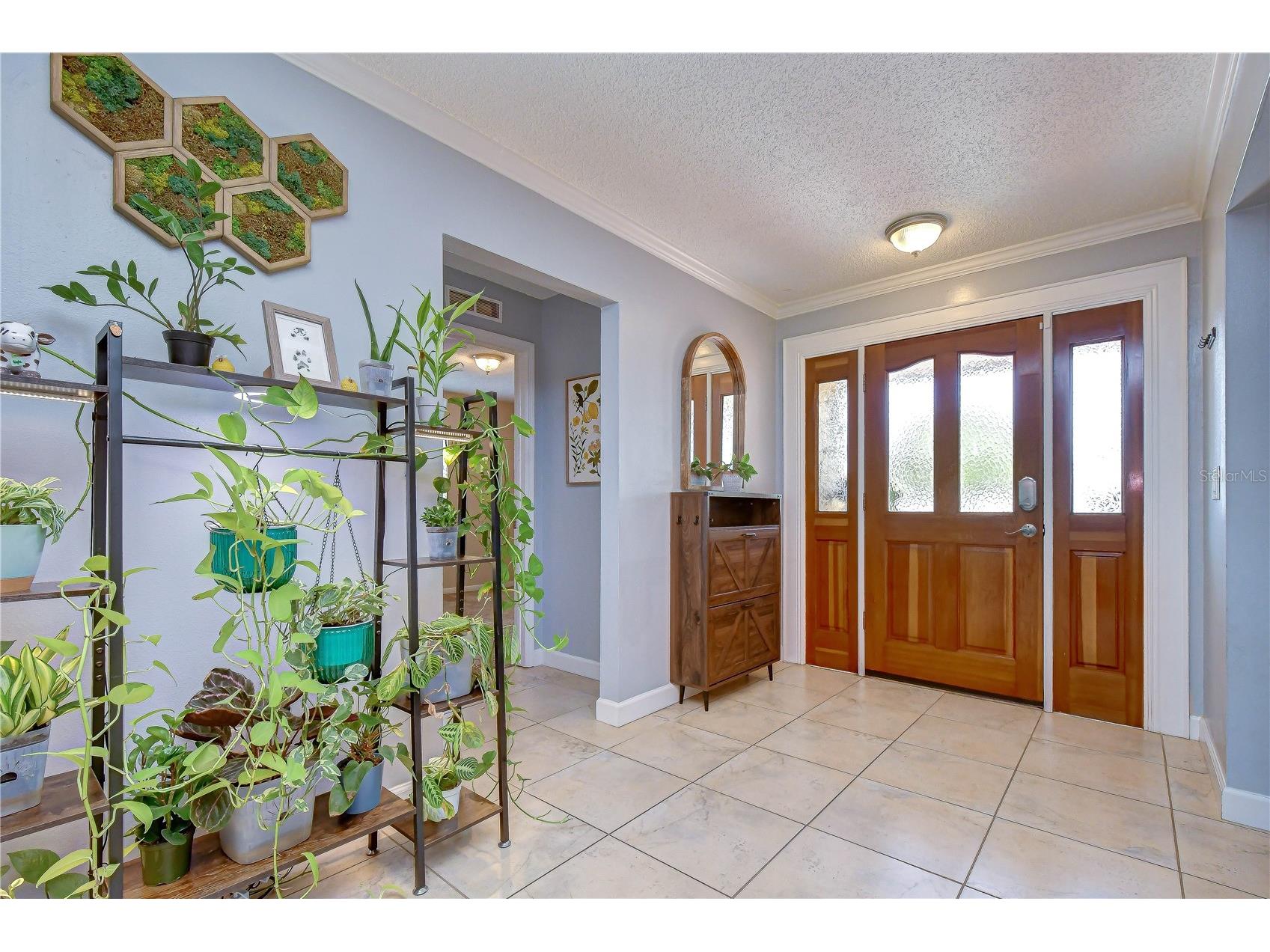 14305 Capitol Drive Tampa FL 33613 TB8525930 image20