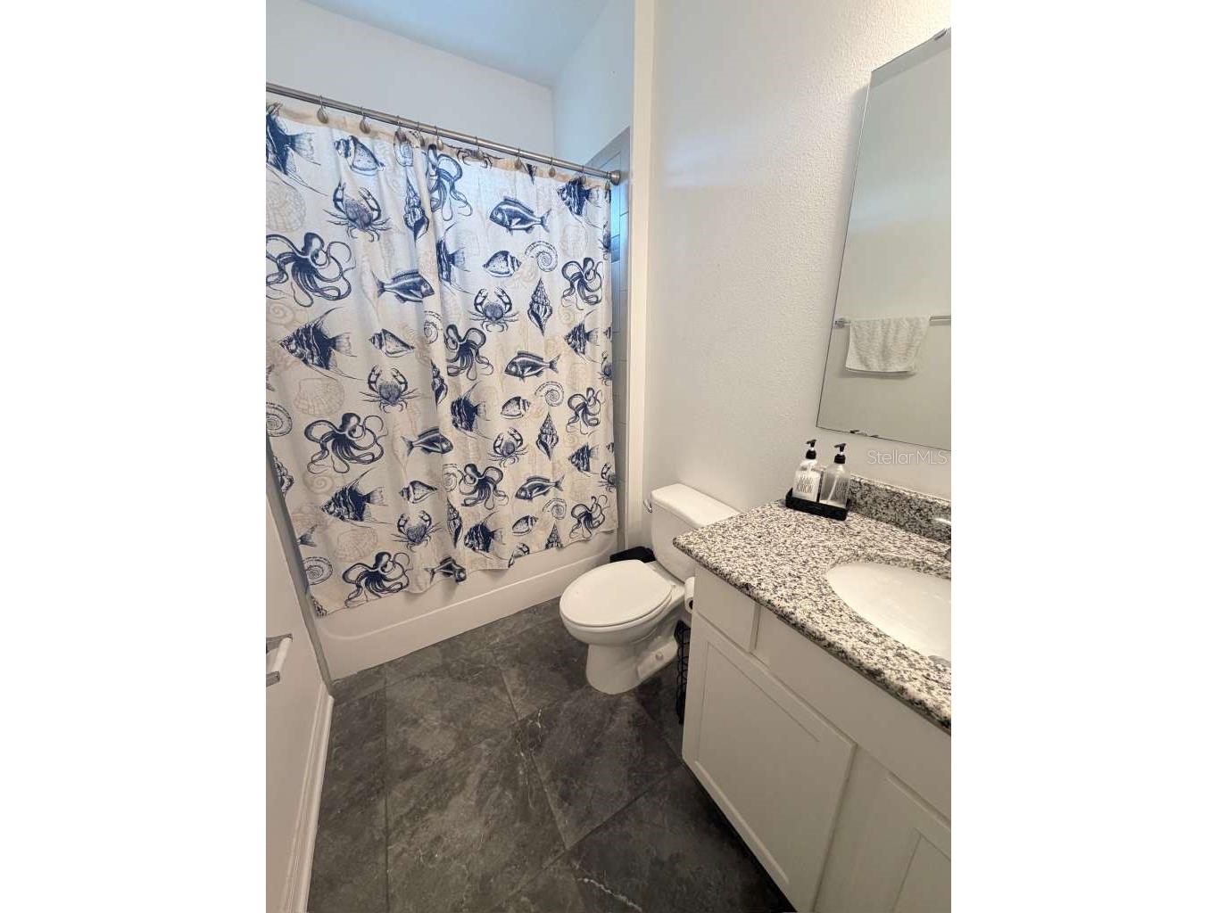 14305 Fissore Boulevard Wimauma FL 33598 TB8526490 image7