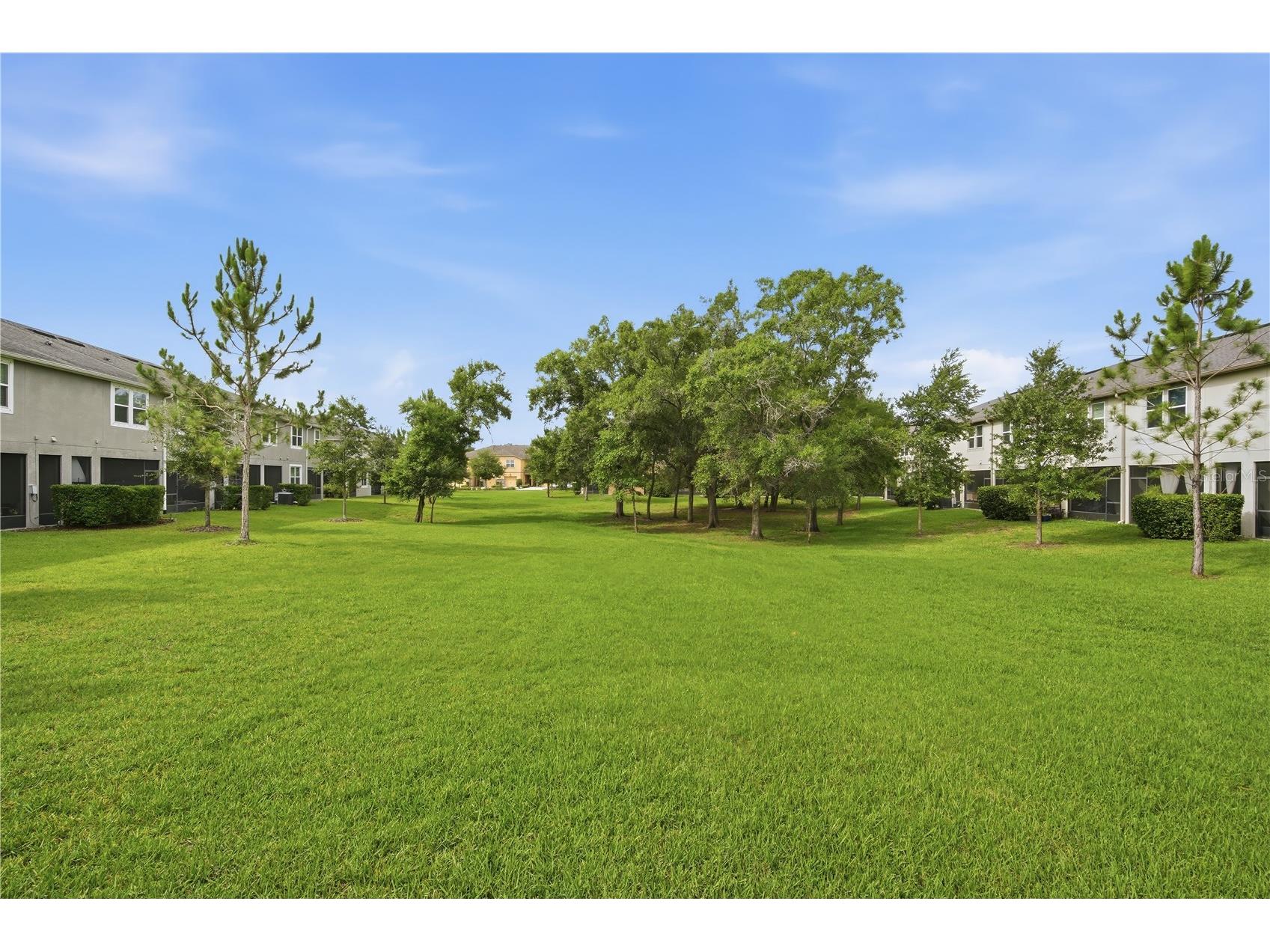 14305 Pondhawk Lane Tampa FL 33625 TB8515029 image24