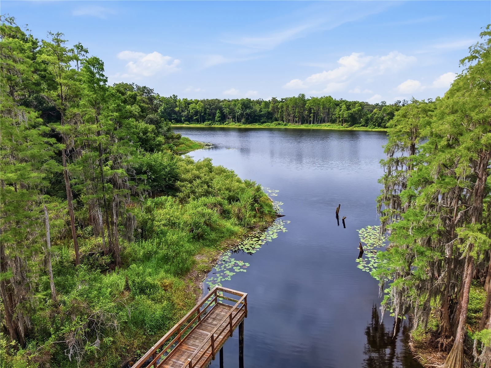 14305 Pondhawk Lane Tampa FL 33625 TB8515029 image32