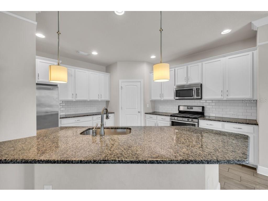 14306 Barrington Stowers Drive Lithia FL 33547 TB8528005 image12