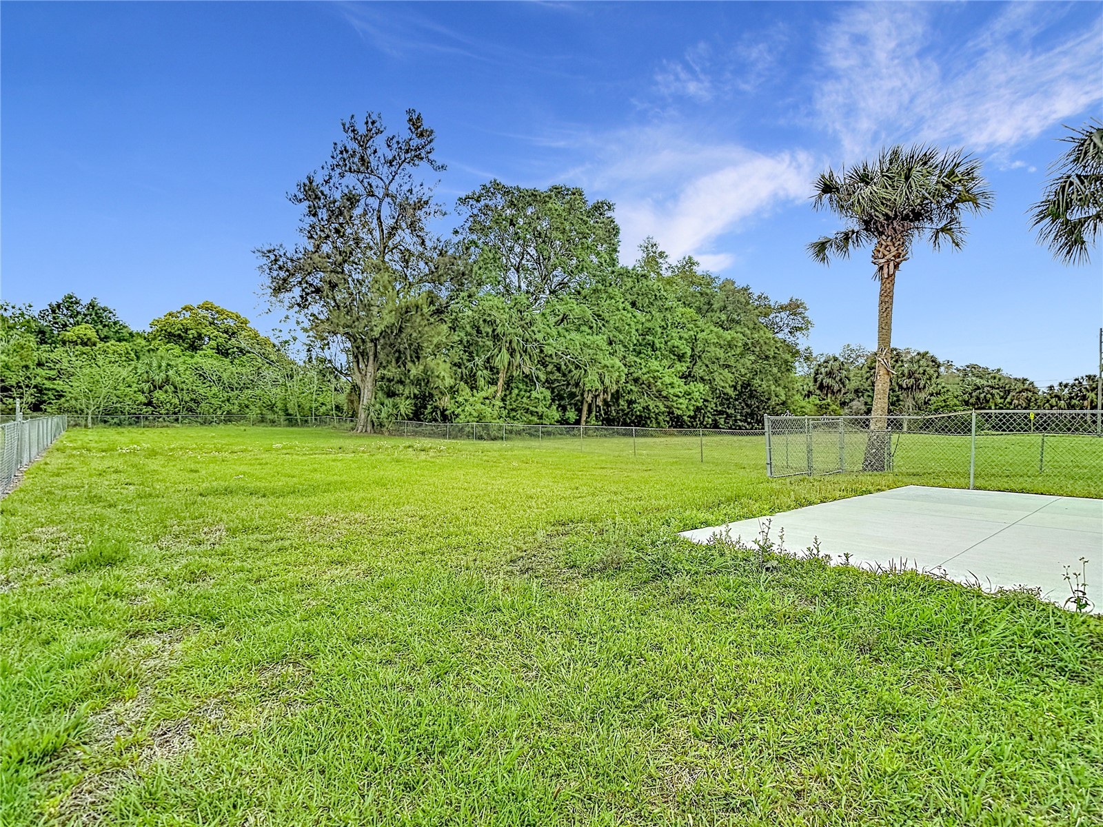 14306 Guava Street Hudson FL 34667 TB8496311 image22