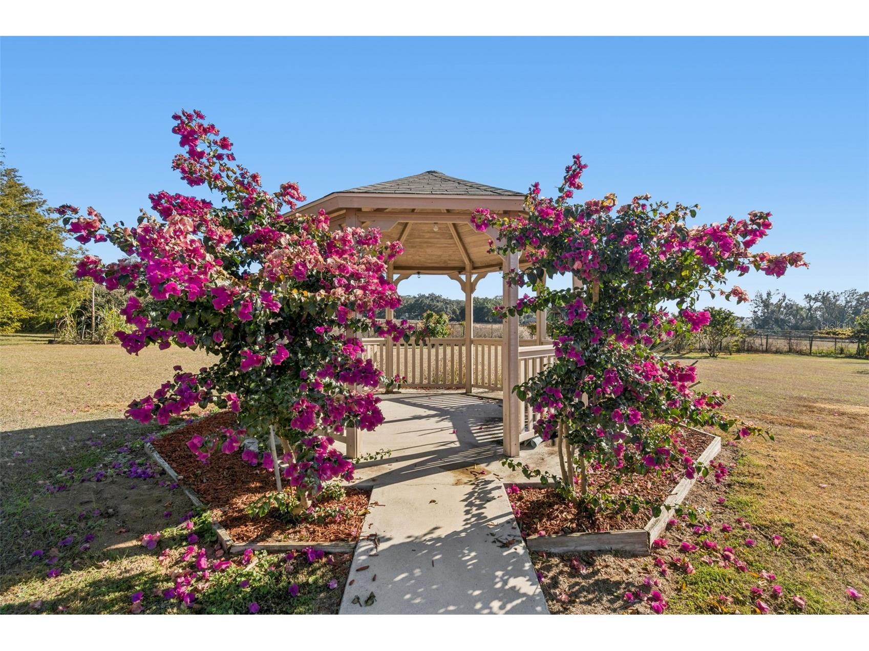 14308 Willow Run Dade City FL 33523 O6371736 image5